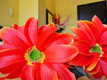 Guest house Memole